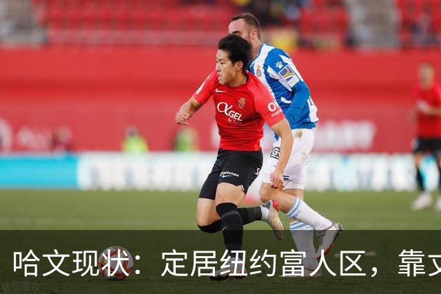 哈文现状：定居纽约富人区，靠丈夫遗产和女儿很潇洒，没有再婚